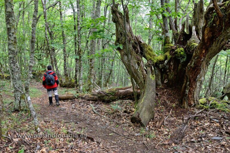 Esistono le casualità?