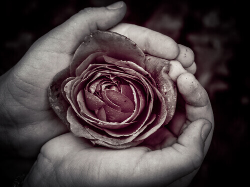 La perfezione che c'è nell'imperfezione