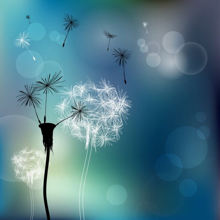 Come liberarsi delle persone tossiche