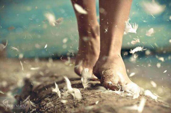 Il titolo più prestigioso che si può ottenere è quello di brava persona