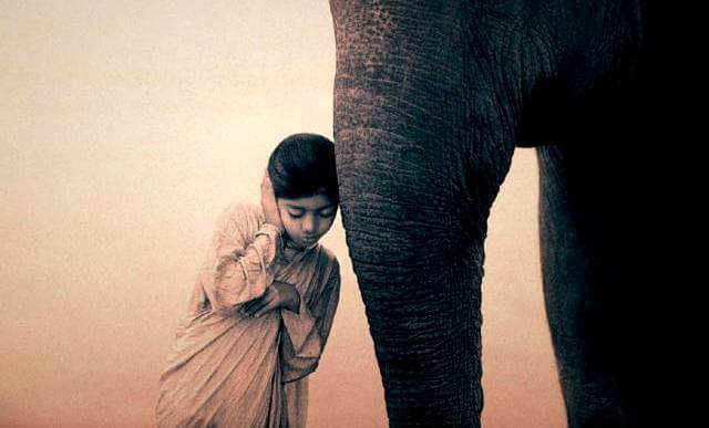 Meditare vuole dire far riposare la mente