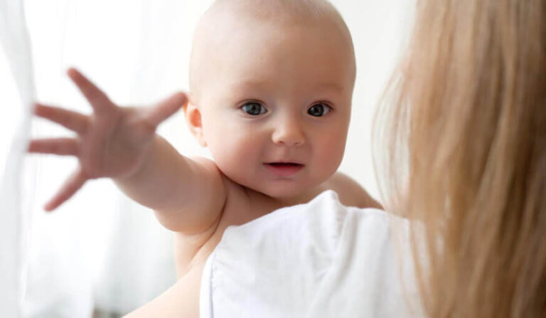 L'esperimento di Harlow e la teoria dell'attaccamento