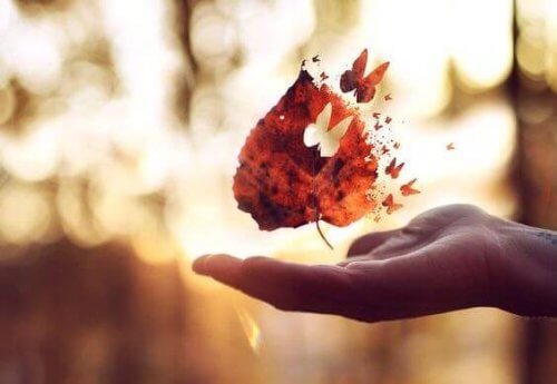 Ci sono anni per fare domande e anni per trovare le risposte