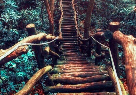 Muoviti e il tuo cammino si delineerà