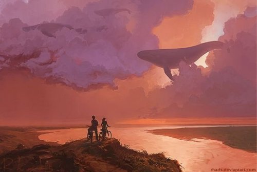 Per volare in alto, la vita ci libera di alcuni bagagli