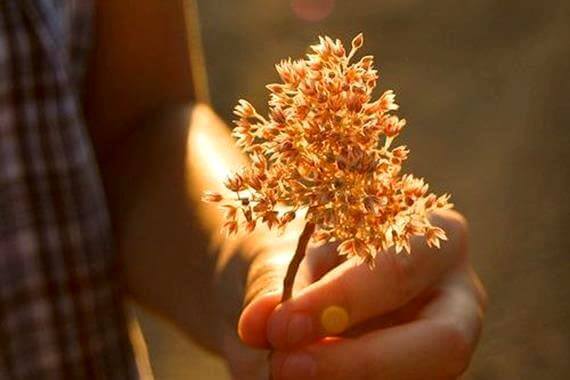 La bontà, senza azioni, non serve a niente