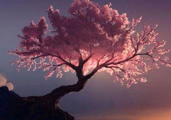 Gli alberi guaritori secondo il Tao