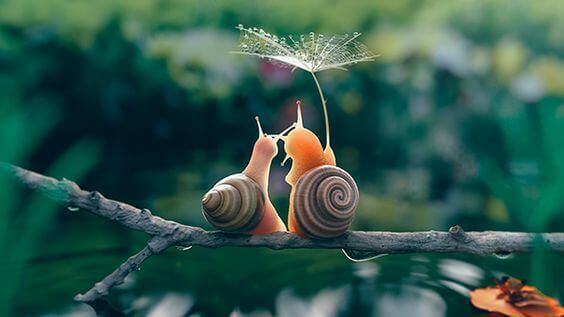 Le tendenze slow: lento è meglio…