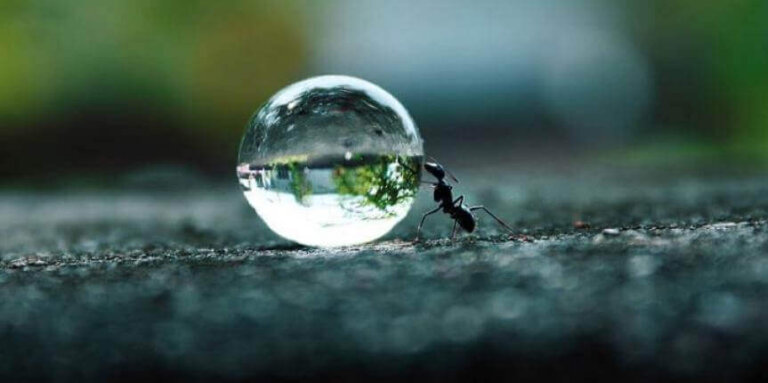 La perseveranza alimenta i sogni