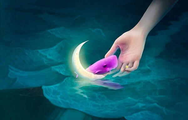 Blue Whale: contrastiamo il fenomeno con la Balena Rosa