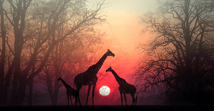 "Aspetta che la tua anima ti raggiunga" bellissimo racconto africano