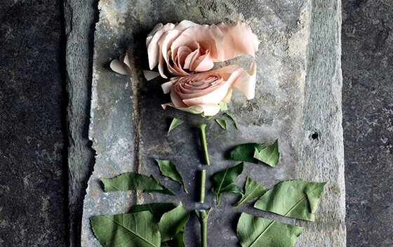 La violenza passiva: ferite profonde che sembrano superficiali