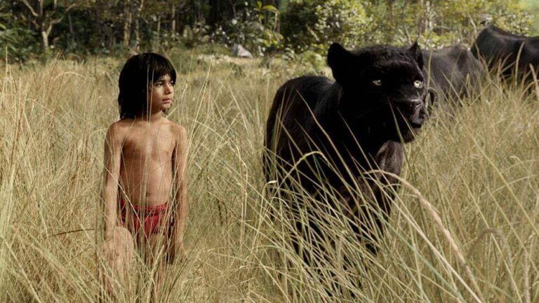 I ragazzi selvaggi e il loro comportamento nella società