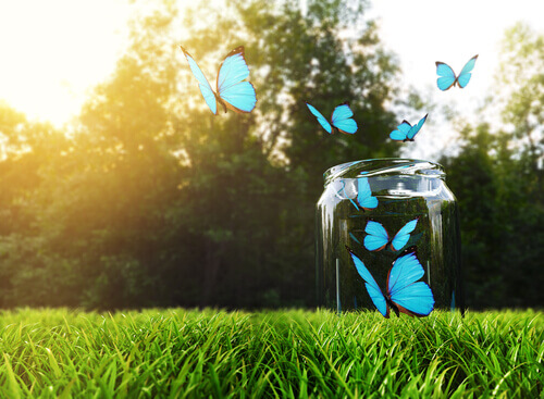 Conoscete la tecnica del vaso della felicità?