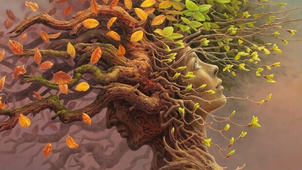 Riserva cognitiva: un'abilità decisiva per l'evoluzione del cervello