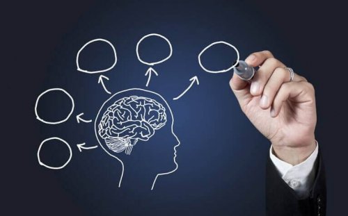 Studiare psicologia: 10 buoni motivi