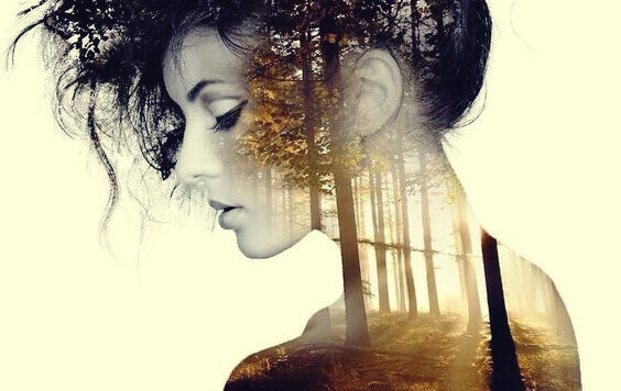 Cosa succede dopo mezz'ora di totale silenzio e solitudine?