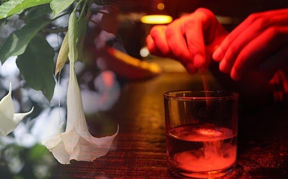 Scopolamina: la droga che annulla la tua volontà