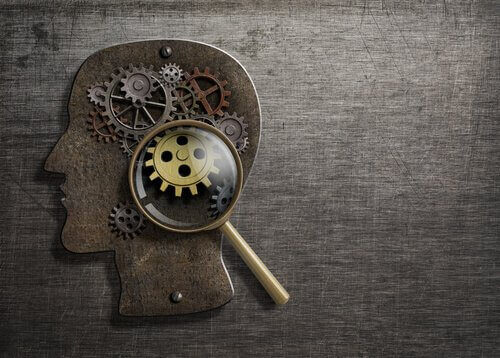 Processi cognitivi: quali sono?