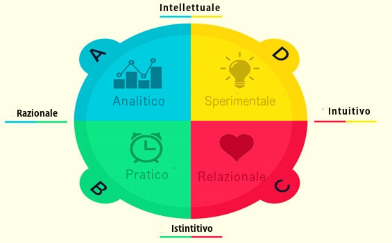 Preferenze cerebrali di Herrmann: qual è la nostra?