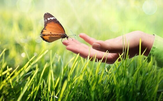 Comunicazione cinesica: perché è così importante?