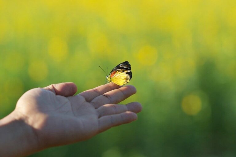 Chiudere i cicli: come farlo nel modo corretto