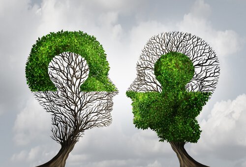 Le due grandi leggi della memoria