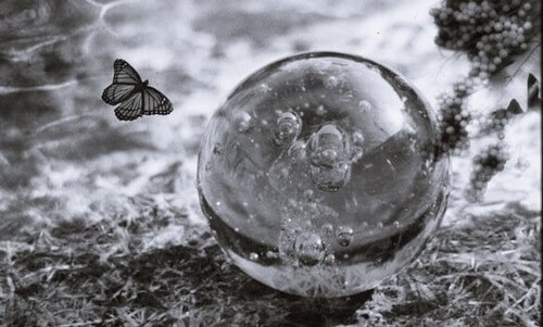 Fragilità emotiva: comprendere e rafforzare l'Io