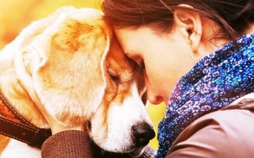 Amare un animale: perché tanta intensità?