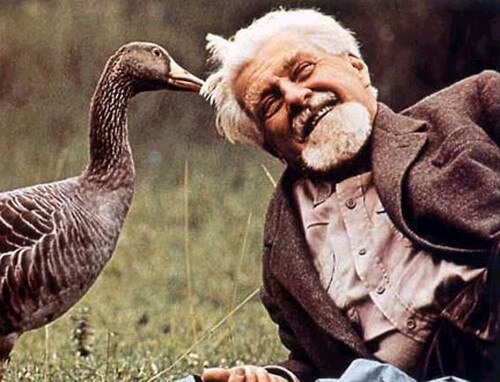 Konrad Lorenz: aprire gli occhi sulla vita