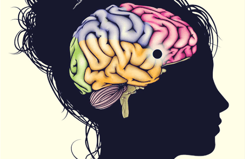 Nucleus accumbens: motivazione e piacere