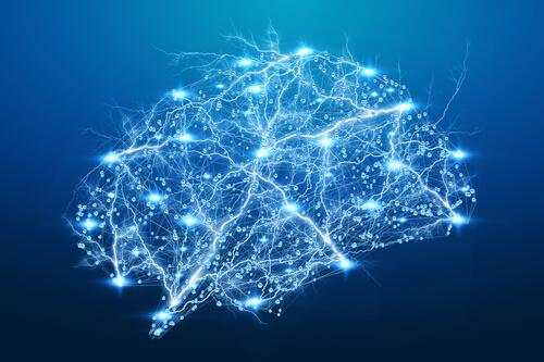 Strumenti di ricerca neuroscietifici