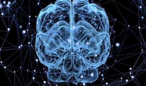 Il cervello si riposa ogni tanto?