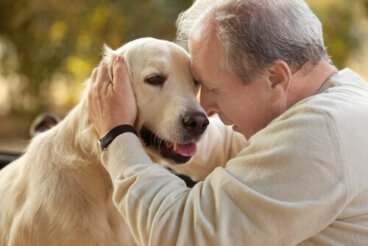 Pet therapy per le persone con Alzheimer