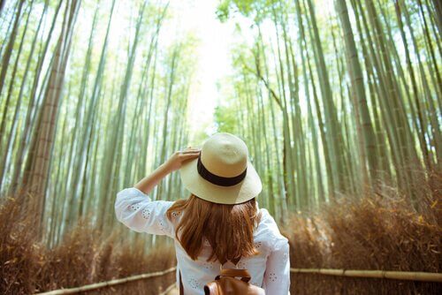 Connettersi con la natura con 4 esercizi