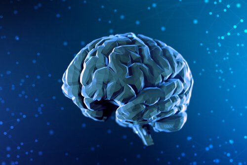 Breve storia delle neuroscienze
