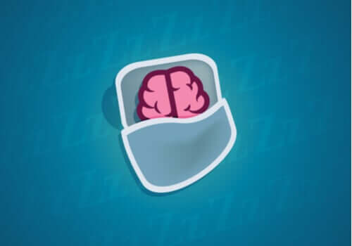 Cosa succede ai neuroni quando dormiamo?