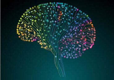 Human Connectome Project: alla scoperta del nostro cervello