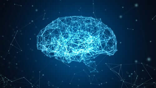 Il progetto Blue Brain