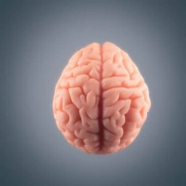 Cosa accade al cervello prima di morire?