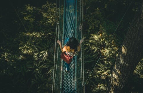 La teoria dell'attribuzione erronea di Dutton e Aron