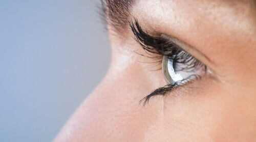 EMDR e mindfulness: un tandem che funziona