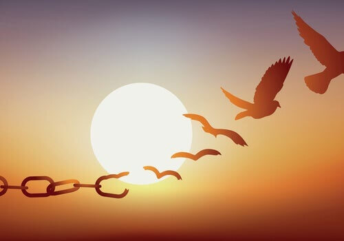 La libertà provvisoria: obblighi e condizioni