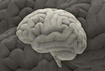 Fenomeni affascinanti di neurobiologia
