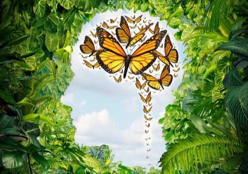 Approcci in psicologia: 7 diverse prospettive