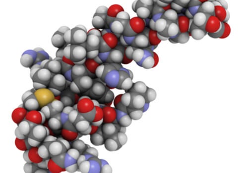 L'oressina e i suoi effetti sul sonno