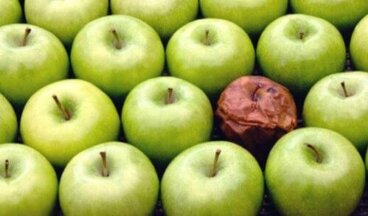 La teoria della mela marcia: i cattivi colleghi