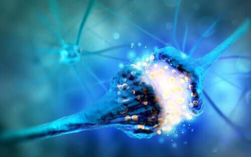 Monoammine: cosa sono e quali funzioni hanno