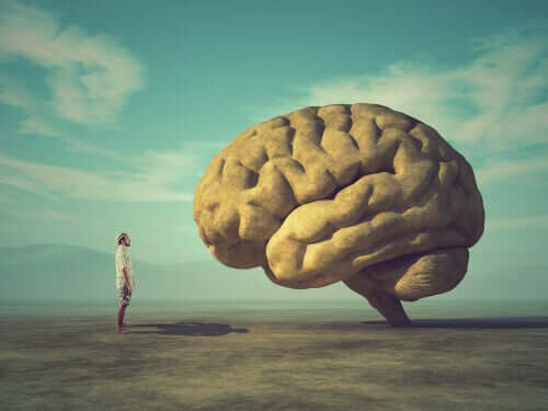 Il cervello ha le rughe: perché?