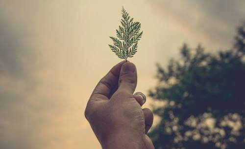 Dare una mano durante la pandemia